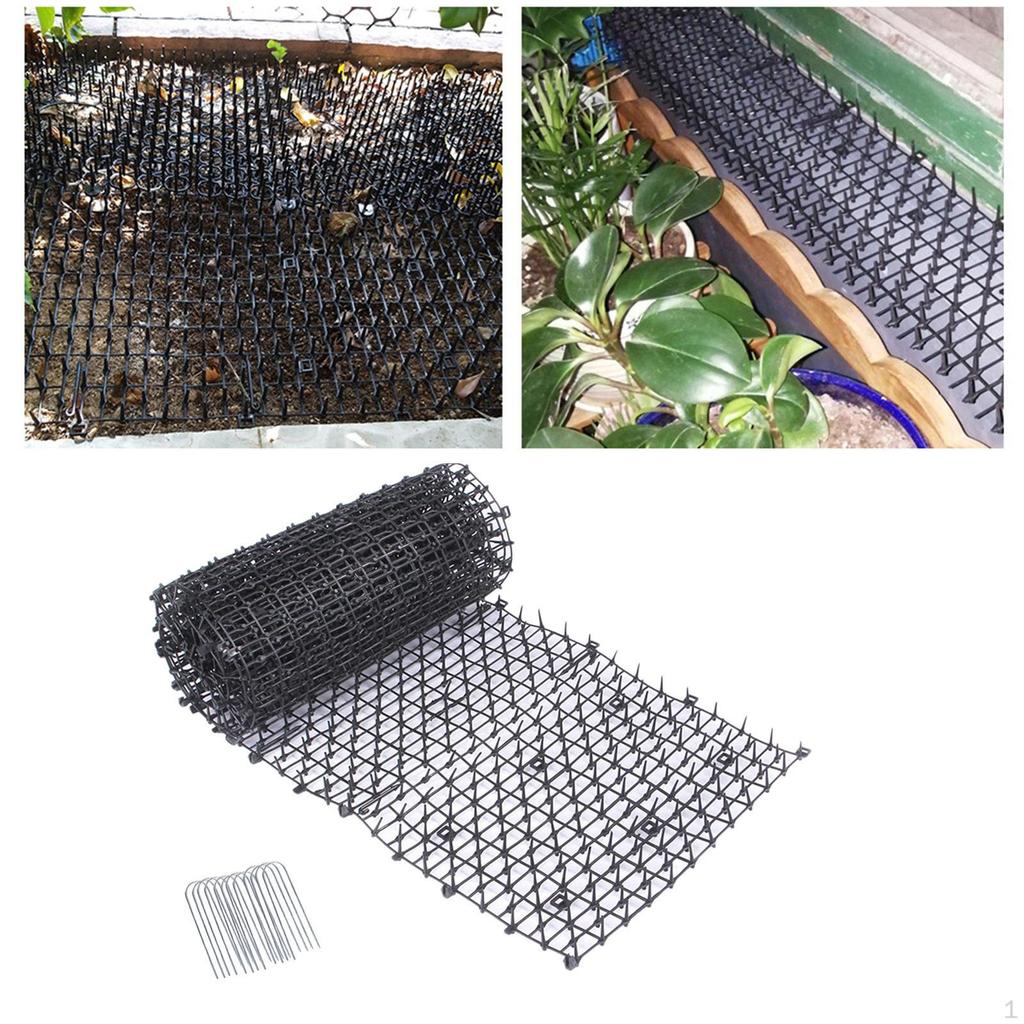 Dogs Deterrent Garden Animal People