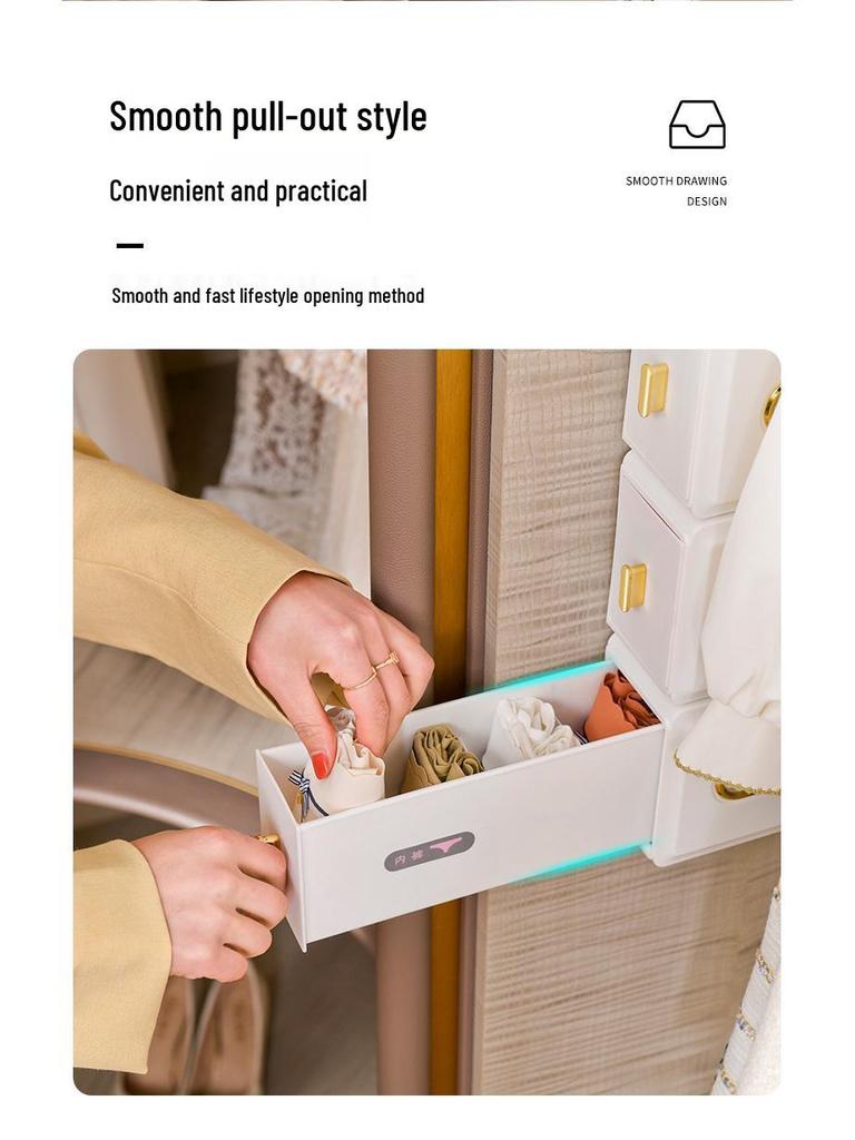 Wall-Mounted Sock & Underwear Organizer: Drawer-Style, Grid Design, Space-Saving Solution