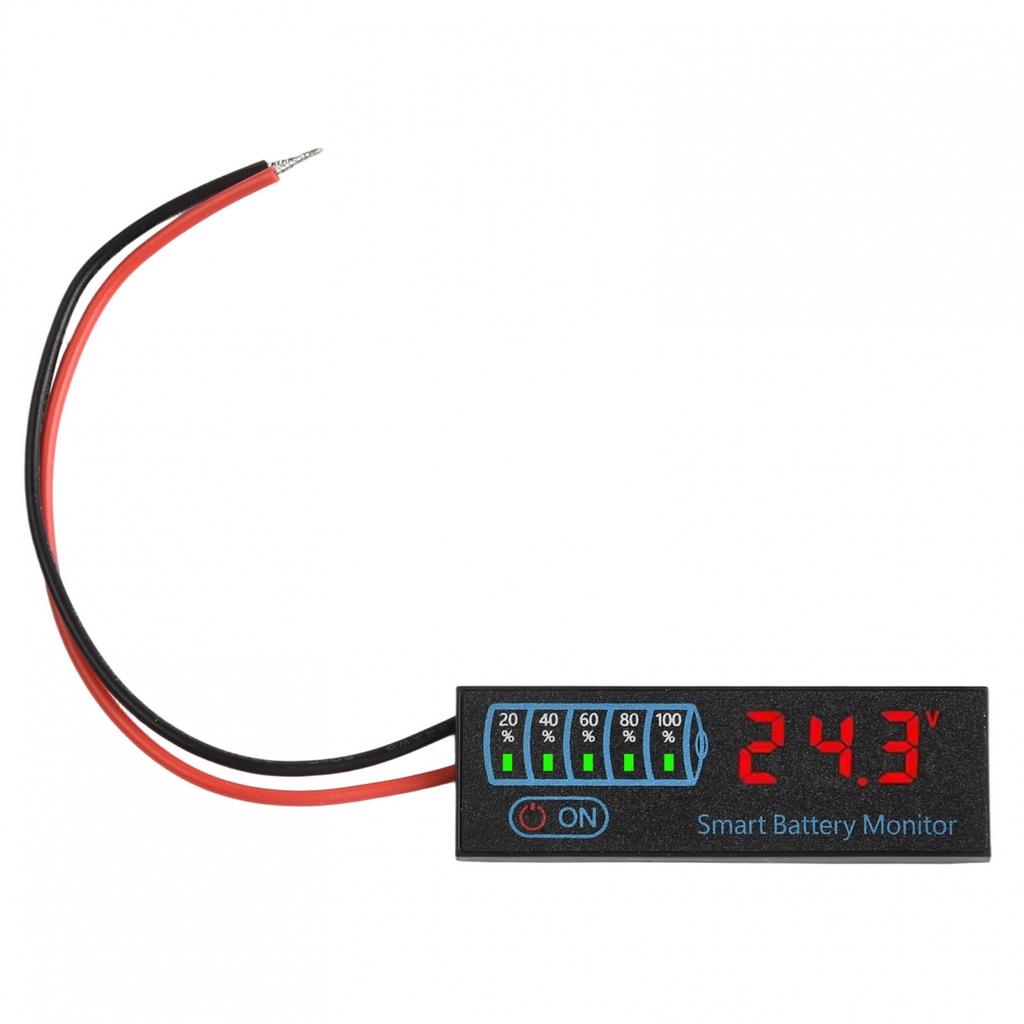 Accurate LiIon Battery Tester 755V Designed for Multiple Applications