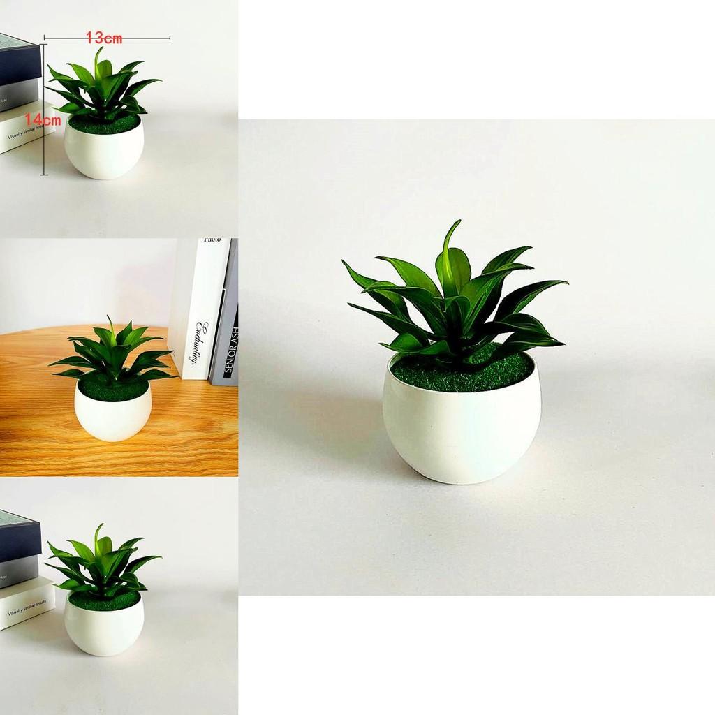 Fake Sinocrassula Indica Plant Pot With Pvc Material For Home Decor And Photography Props
