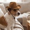 Adjustable Dog Cowboy Hat Breathable Cat Sunscreen Hat Dog Fisherman Hat Dog Visor Cat  Pet Party