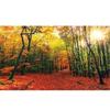 Beautiful Landscape Wall Art Painting Canvas Painting Scenery Wall Pictures Living Room Hedroom Home Decor