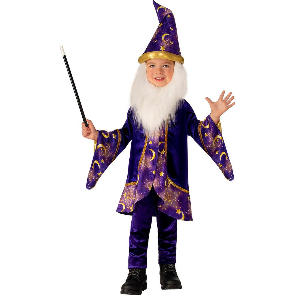 Bristol Novelty Childrens/Kids Wizard Costume