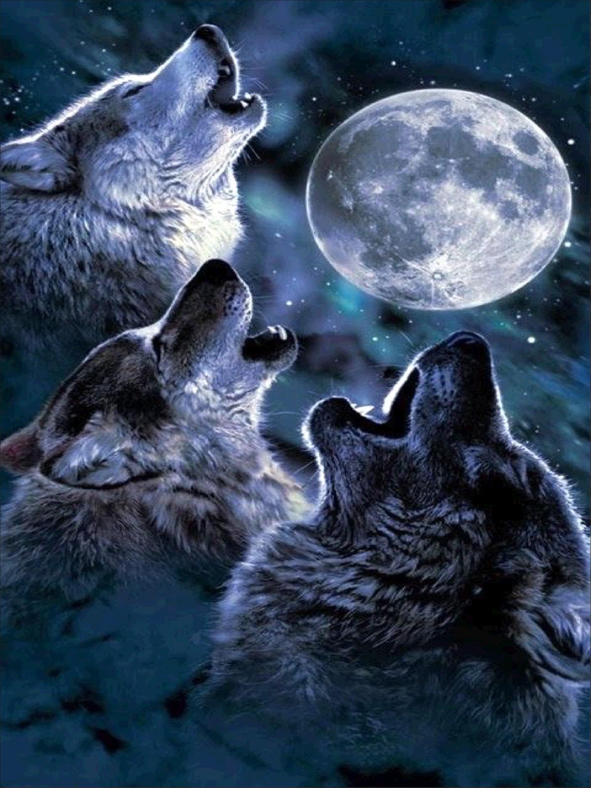 

Полный круглый дрель алмазная живопись вышивка крестиком 5D Алмазная мозаика вышивка пейзаж животные мозаичный узор домашний декор ремесленный комплект Full Round 20x30CM