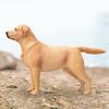 1/6 Dog Figure Kids Toy Action Accessories Collectibles Tabletop Ornament Realistic Animal