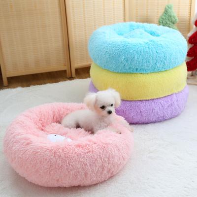 family dollar puppy training pads