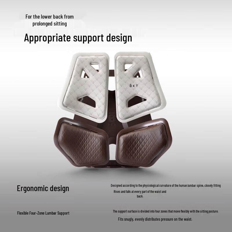 BKT Car and Office Lumbar Support Cushion