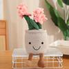 Simulated Potted Plush Toys Hyacinth Cactus Plant Animal Ornaments Flowers Decoration Children's Toys
