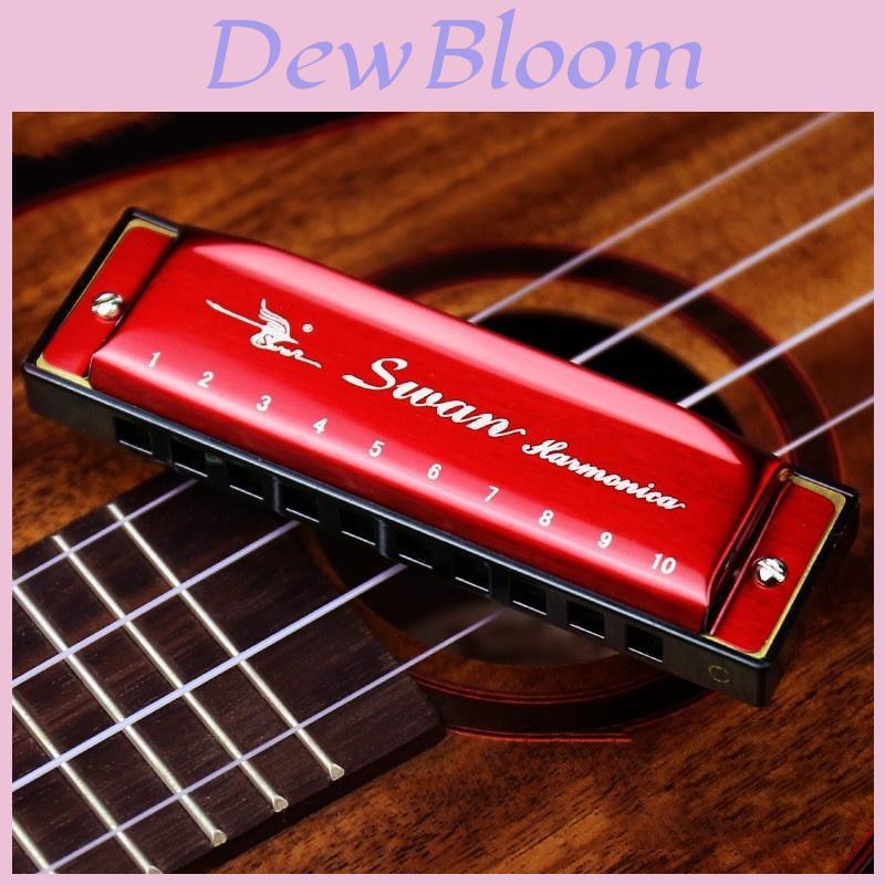 Swan Harmonica 24 Hole Beginner Music Instrument With Silver Cover For Students And Adults