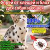 Flea and Tick Spray for Cats 100ml Natural Ingredients Kills Fleas Lice Mites Fast Effective On Contact