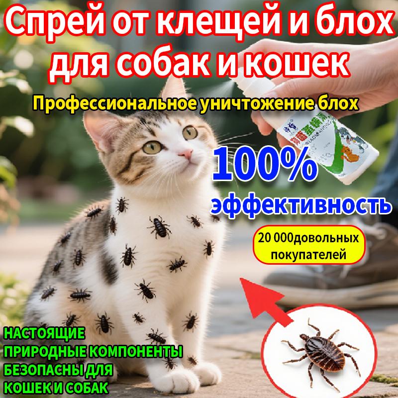 

Спрей от блох и клещей для кошек 100 мл Натуральные ингредиенты Убивает блох вшей клещей Быстро Эффективно при контакте