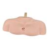 Upper Body Shoulder Torso Head Holder, Durable and Sturdy PVC Material