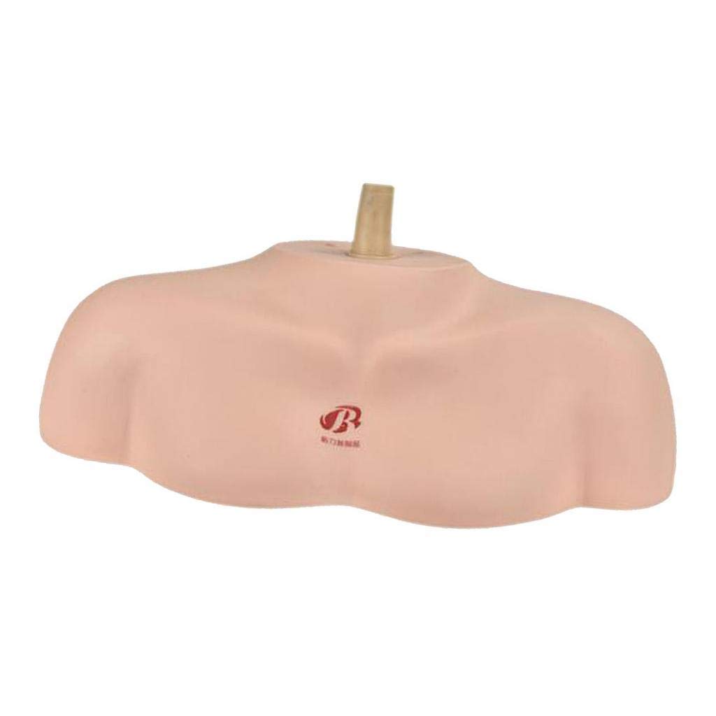 

Upper body shoulder torso head holder, durable and sturdy PVC material