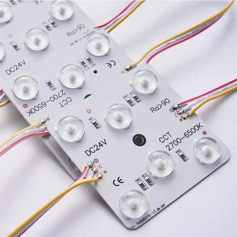 OEING Dual-Color Segment LED Module
