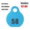1 set Livestock Animal Identification Hang Tag Kit Adjustable Nylon Collar TPU Double-sided Serial Number Hang Tag & Metal Ring