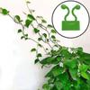 10Pc/set Invisible Wall Vines Fixture Wall Sticky Hook Self Adhesive Vines Fixing Clip Vines Holder Garden Home Supports