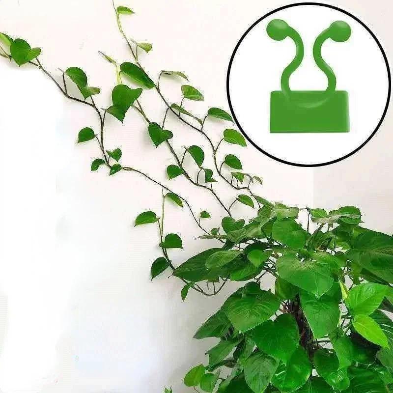 10Pc/set Invisible Wall Vines Fixture Wall Sticky Hook Self Adhesive Vines Fixing Clip Vines Holder Garden Home Supports
