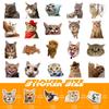 50 Cat Stickers Cute Cute Cat Cute Internet Celebrity Cat Emoticon Pack Graffiti Stickers