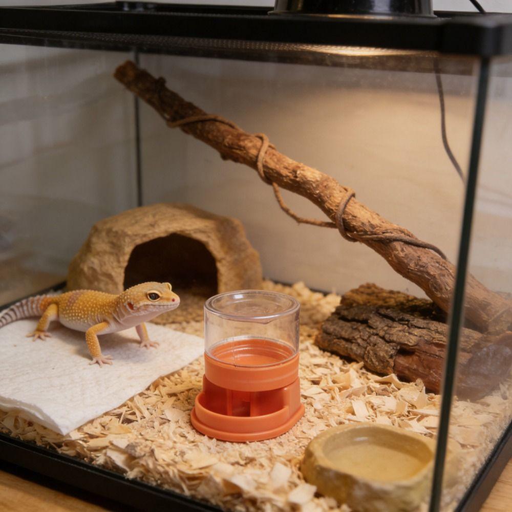 Anti-slip Base Reptiles Water Feeder Detachable Turtle Water Bowl Reptile Water Dispenser  Snakes