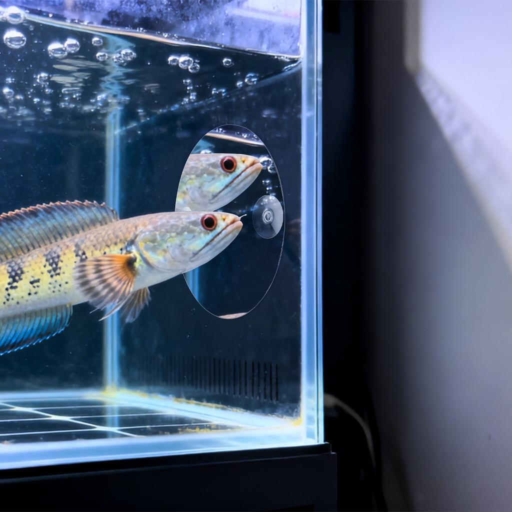 Fish Tank Betta Mirror Acrylic Single Side Suction Cup Decorative Training Tool Clear Aquarium Accessory for Self Enjoyment