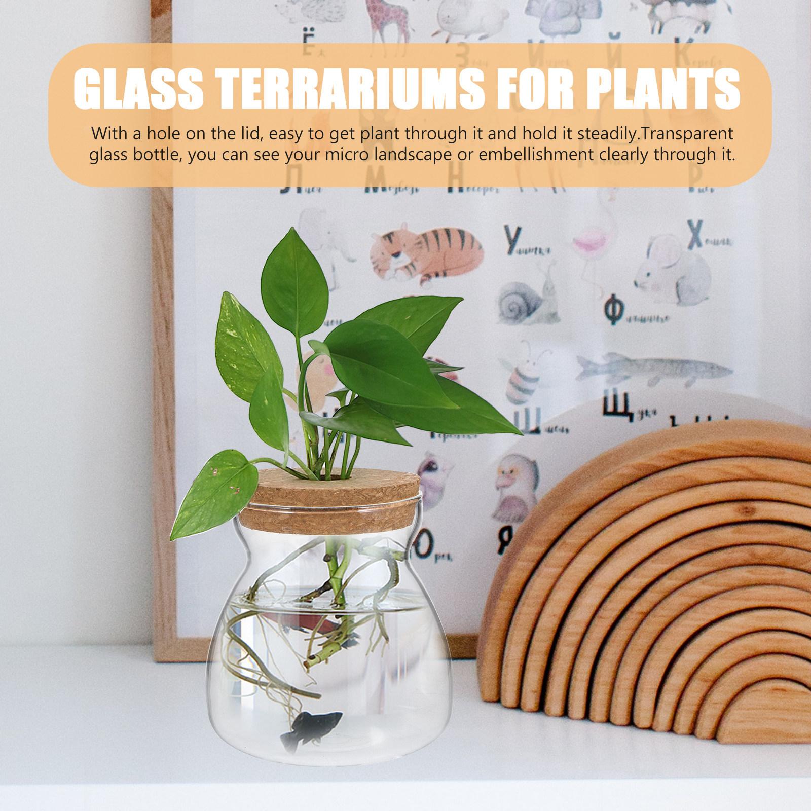 Terrarium Jar Glass Terrarium Ecosystem Container Size M Hydroponic Plant Container Micro Landscape Glass Jar for Plants 12x10CM