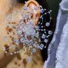 Gifts Handmade Wedding Dress Earrings Transparent Ear Ornaments Colorful Flower Earrings Flowers Elegant Bridal Jewelry