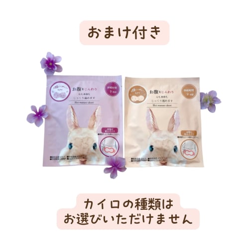 Sarasaty 100% Cotton T-Back Panty Liners (T-Liners), Unscented, 40 Sheets, Set of 2 with Bonus