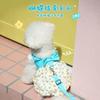 Dog Clothes Autumn Pet Teddy Bichon Pomeranian Small Dog Puppy Skirt Autumn Thin with Leather