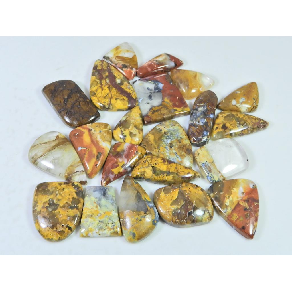 275Cts. Natural Forest Agate Fancy Cabochon Loose Gemstone 21 Pcs Lot C-1951