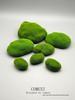Artificial Moss Foam Stones for DIY Gardening & Potted Plant Decor