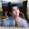 Cheng Yi Zeng Shunxi Xiao Shunyao Poster Double-sided Printed Pillowcase Mysterious Lotus Casebook Home Car Decor Cushion Cover