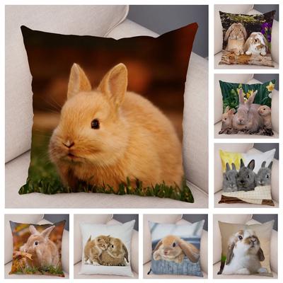 Housse de Coussin Lapin Mignon Housse de Oreiller Housses de Oreiller pour Canapé Voiture Décoration Maison Animal de Compagnie Housse de Coussin Coton Peluche Courte x cm