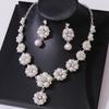 Exquisite Claw Chain Jewelry Set Luxury Necklace Earrings Set Pearl Necklaces Earrings  Banquet