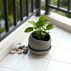 with Drainage Holes Succulent Plant Pots 3D Printed Growing Pots Modern Decorative Pot  Home Decor