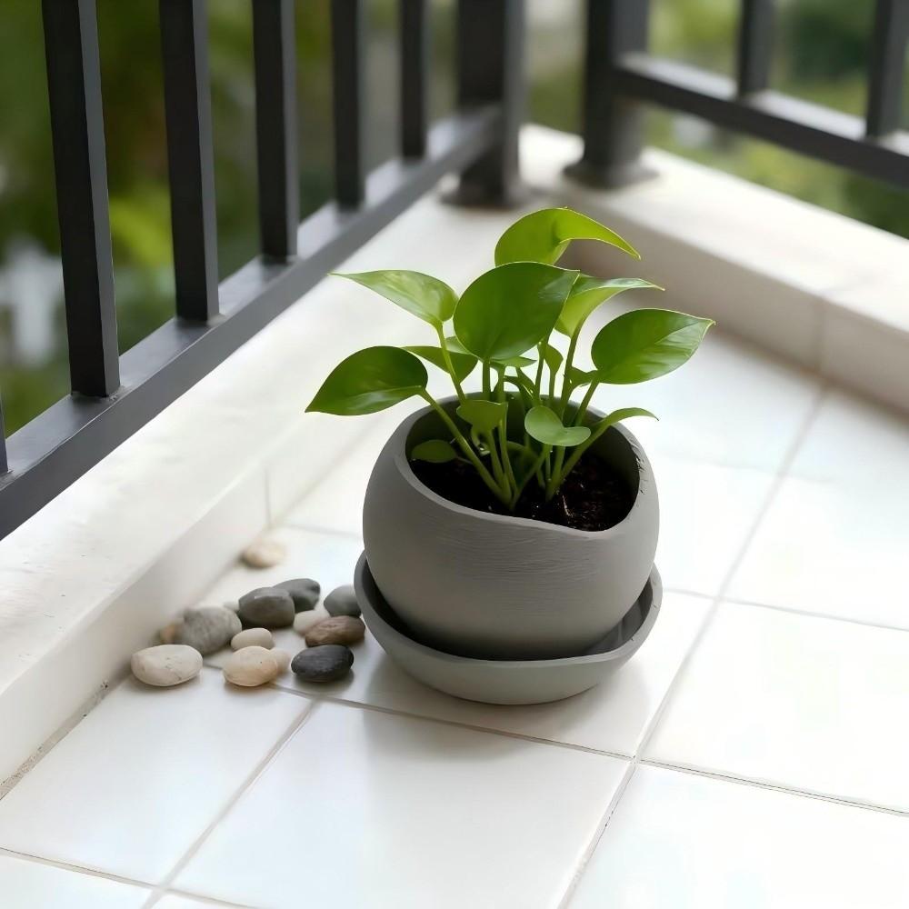 with Drainage Holes Succulent Plant Pots 3D Printed Growing Pots Modern Decorative Pot  Home Decor
