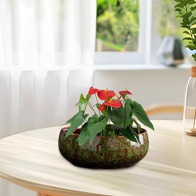 Bowl Planter Decorative Hydroponic Pot Ceramic Leakproof Spacious Bowl Planter For Indoors And Outdoors Succulents And Flowers