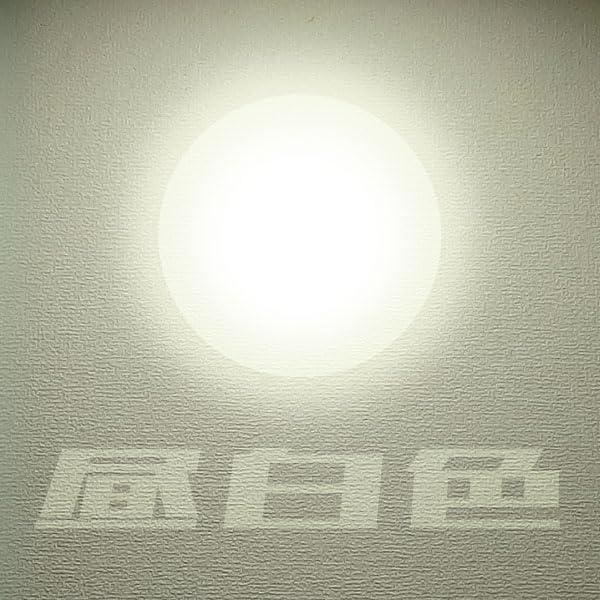 E39 80W Cone-Shaped LED Bulb, Equivalent to 700W-800W Mercury Lamps, 12800lm (Lumens), IP65 Dustproof and Waterproof, Mercury Lamp Replacement,