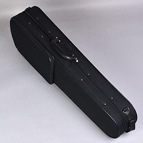 Nicolo Santi NSN60S Beginner's Violin Set, Supervised by Meister Mogi (Nicolo Santi)