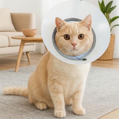 Breathable Pet Protective Collar Adjustable Bite Resistant Anti-Bite Collar Transparent Anti-Scratch Recovery Cone Collar