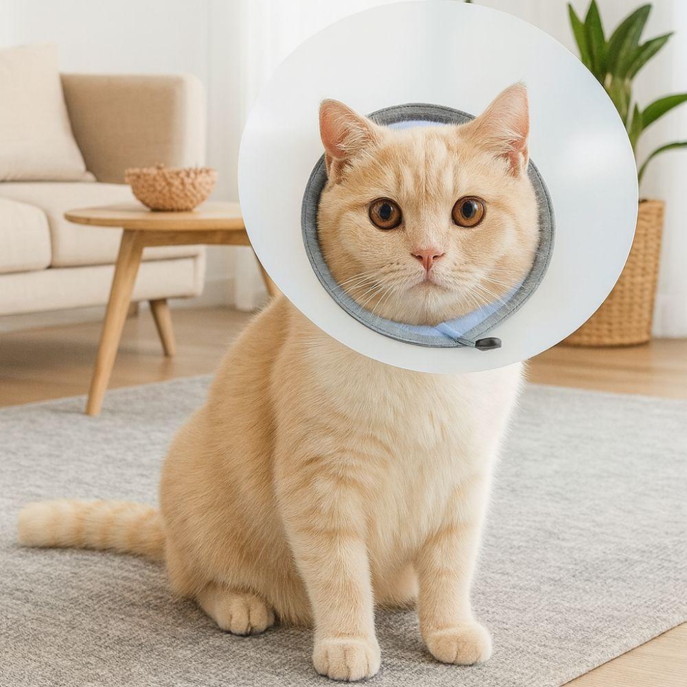 Breathable Pet Protective Collar Adjustable Anti-Bite Collar Recovery Cone Collar  Animal Care