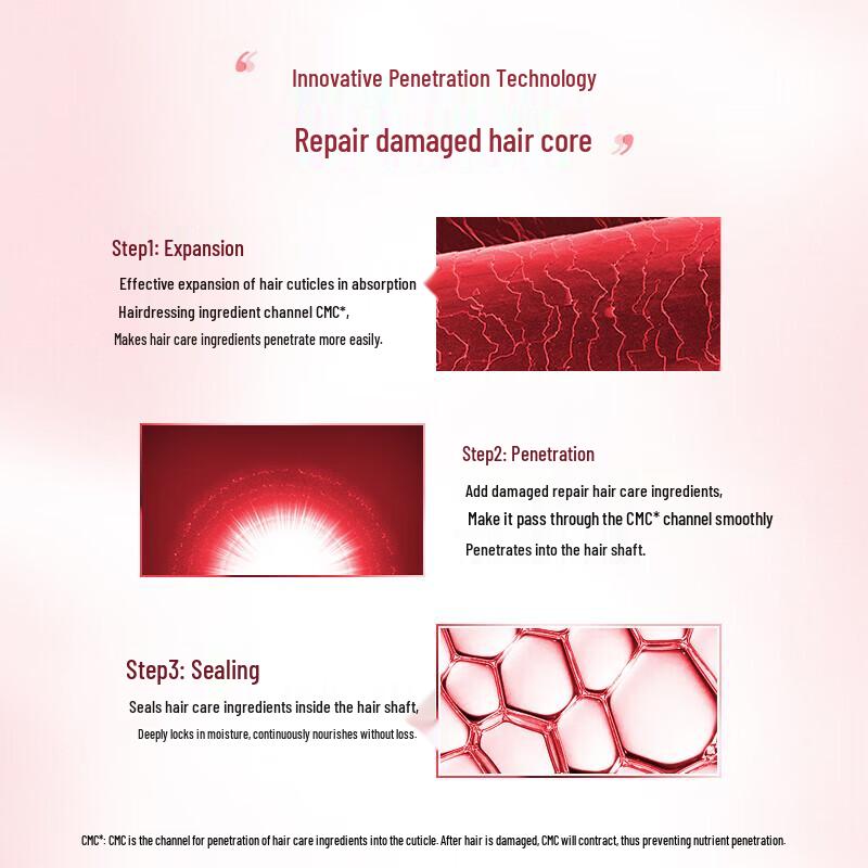 Tsubaki Deep Moistening Shampoo & Conditioner Set