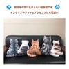 Homehalo Cat Hugging Pillow, Soft Memory Foam Cushion, Cover Washable, Sleeping Pillow, Soothing Hugging Pillow, Cute, Comfortable Hugging Pillow,