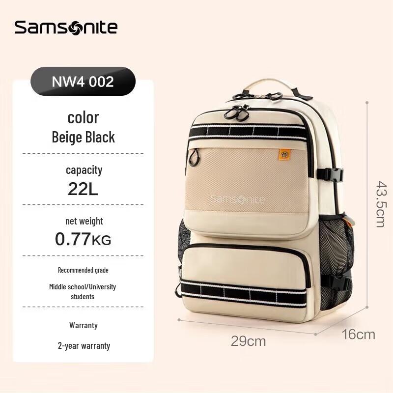 Samsonite NW4*3500 Casual Laptop Backpack