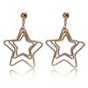 Star Earrings