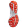 Revolution 3 Wolf Grey Hyper Orange Women's 819303-002