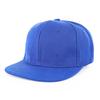 Spring/Summer Trendy Unisex Polyester Flat Brim Hat with Embroidered Logo - European & American Style