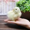 Chick Plush Animal Sound Figurine Chicken Decor Kid Teaching Toy