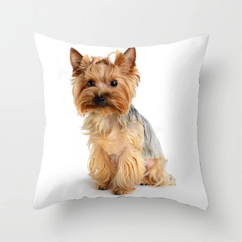 

Bedroom Sofa Waist Cushion Cover Car Decorative Cute Dog Yorkie Yorkshire Decor Print Pillowcase 30x30CM(12x12in)