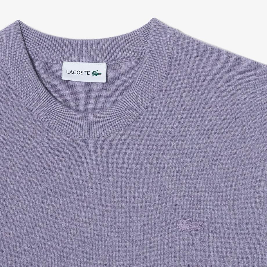 Lacoste Men's Basic Crew Neck Pullover AH496E-54NGFU