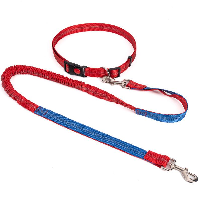 Empty Shell Weight Carrying Strap Vest with Pockets Muscle Training Kit Dogo Argentino American Pit Bull Large Canine K9 Jacket